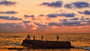 Kocaeli'de Yeni İş Arayanlar İçin Paketleme İş İlanları Rehberi 